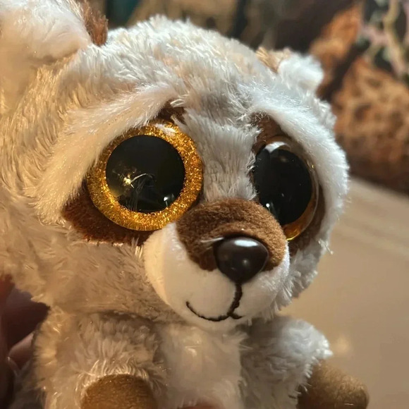 🦖 NWT TY beanie Oakie the Raccoon - Picture 2 of 5